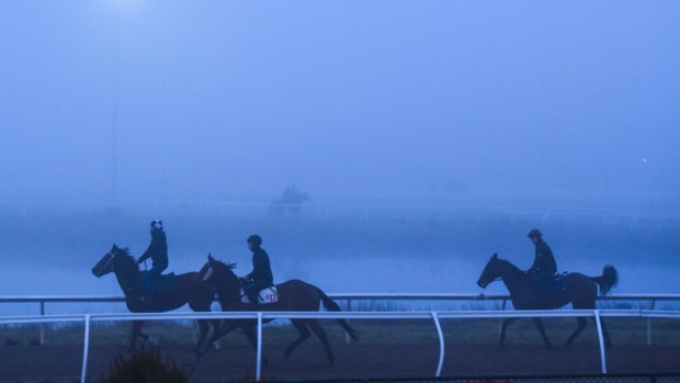 Hoping for gloom to lift: horses are put through their paces in foggy conditions at Caulfield.