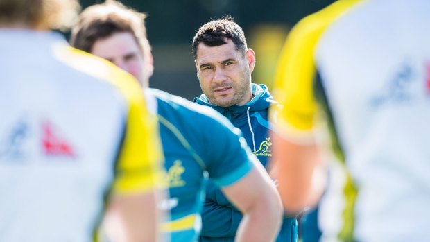 Back: George Smith was present at Wallabies training ahead of their Test against Scotland on Saturday.