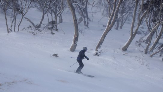 Thredbo's looking good for now but the longer term outlook is less appealing.