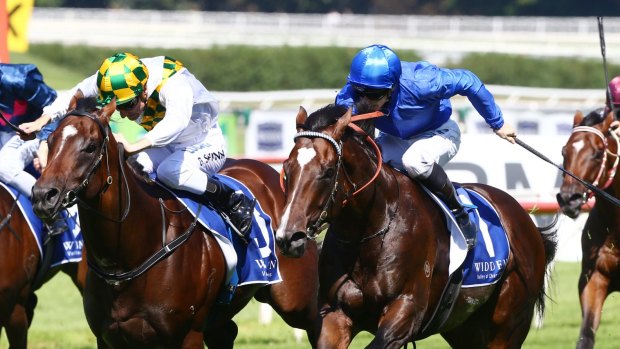 Too close to separate:  Black Shinn on El Divino (left) and James McDonald on Astern shared a dead heat in The Widden Kindergarten Stakes.