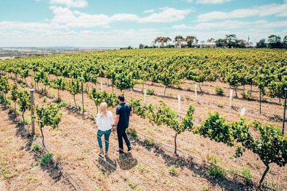Strolling through the vineyards at Barwon Ridge, Moorabool Valley.