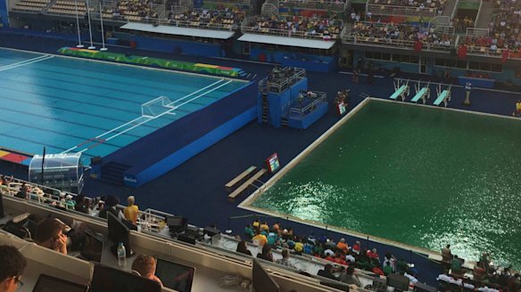 The diving pool has turned green. 