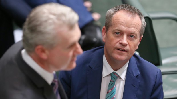 Manager of Opposition Business Tony Burke, pictured with Labor leader Bill Shorten, said that since Mr Turnbull had made that claim  Labor would take him at his word.