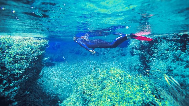 Crystal clear waters … Piccaninnie Ponds.