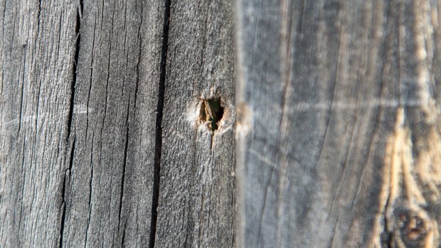 Bullet holes peppered the fences of nearby properties.