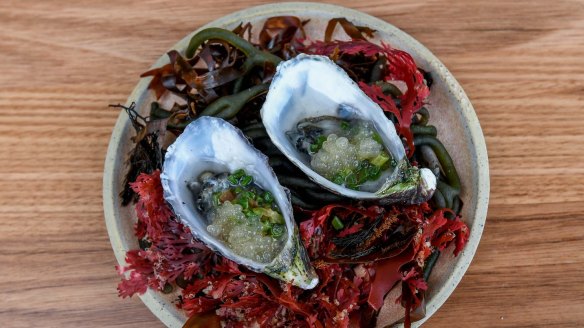 Seashore symphony: Oysters dressed with seaweed vinegar and  pickled fennel.
