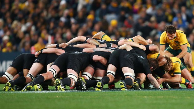 Crucial contest: Nick Phipps at the base of the Wallabies' scrum during his self-confessed Bledisloe Cup 'shocker'.