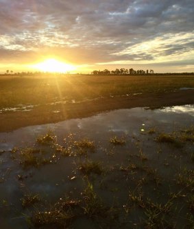 Middlemount in central Queensland received an estimated 60 millimetres.