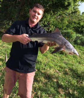 Jarrad Smith with a bull shark.