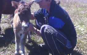 Kerryn Manning with a minature foal. 