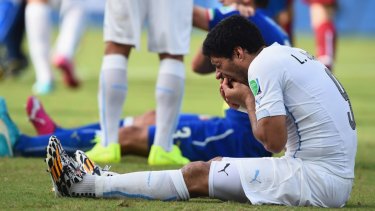 Repeat offender: Luis Suarez appeared to bite Italy's Giorgio Chiellini.