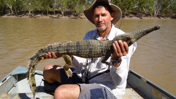 Jeff Johnson, a fish scientist at Queensland Museum, with a freshwater crocodile in Cape York. Mr Johnson identified the blue bastard. He let the little croc go.