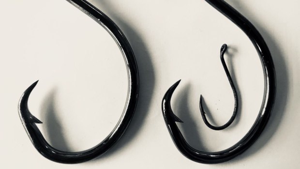 The image of fish hooks Jacinda Ardern used to announce her pregnancy on Twitter. 
