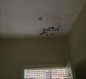 Mould on a ceiling caused by a leaking membrane lining a shower.