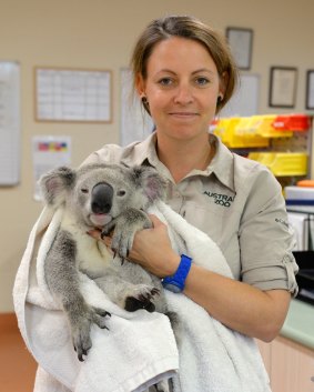 Timberwolf gets some TLC from Australia Zoo vet nurse Robyn Kriel.