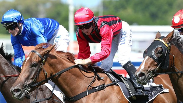 Good position to be in: Gai Waterhouse is yet to decide if Magic Night Stakes winner Speak Fondly will run in the Golden Slipper.