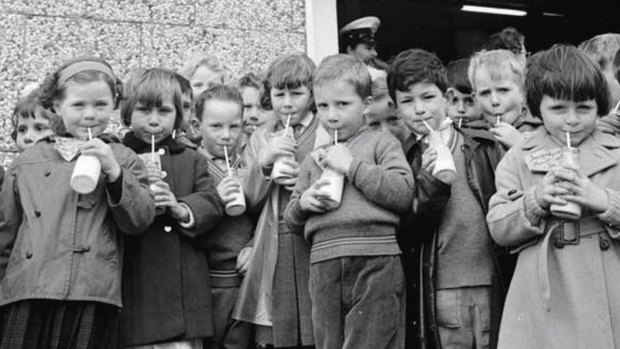 The Menzies government created a national school milk program in 1950.