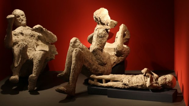  A family killed at Pompeii is displayed at a British Museum exhibition. HSC Ancient History takes in life in Pompeii and Herculaneum.
