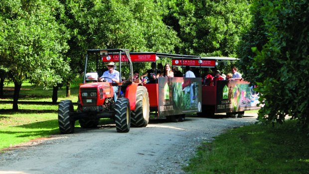 Visitors can do a tractor tour at Summerland House, in Alstonville.

