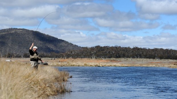 Eucumbene River is a hot spot for trophy anglers. 