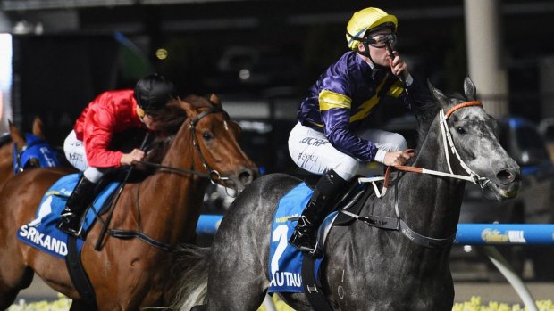 Stunning win: Tommy Berry and Chautauqua blitzed the field to claim the Manikato Stakes in 2015.