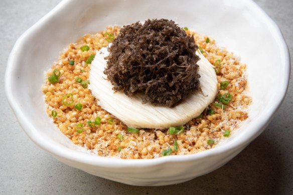 Seasonal chawanmushi (this version is capped with shaved truffles).