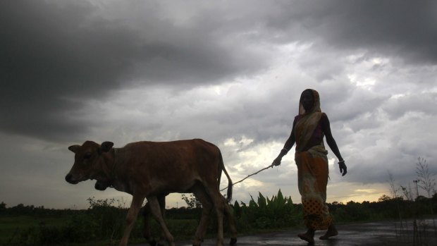 Monsoons are critical for many farmers in South Asia.