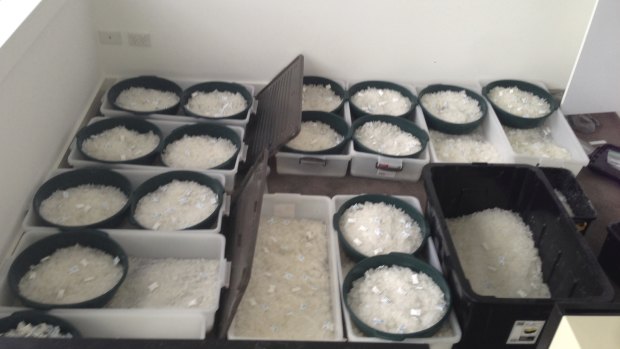 Police seized buckets full of ice from the Gladesville apartment.
