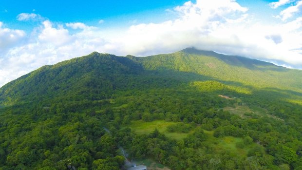 Emergency services found the body of a man on Saturday after a helicopter crash near Daintree National Park on Friday.