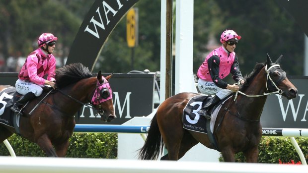 Good effort: Colesberg came in to win at Warwick Farm by three-quarters of a length.