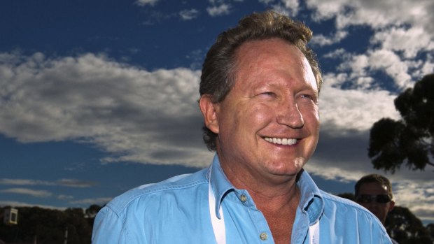 Brazilian miner Vale says it did not seek permission to buy up to 15 per cent of Andrew Forrest's Fortescue Metals Group.