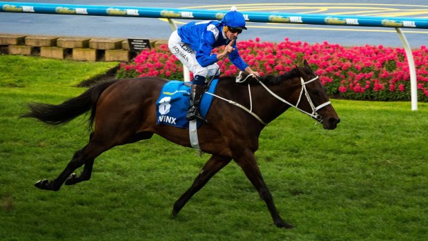 Running scared: Winx will chase a third Cox Plate at Moonee Valley on Saturday.
