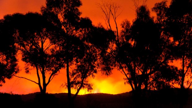 A bushfire near Healesville on Black Saturday. 