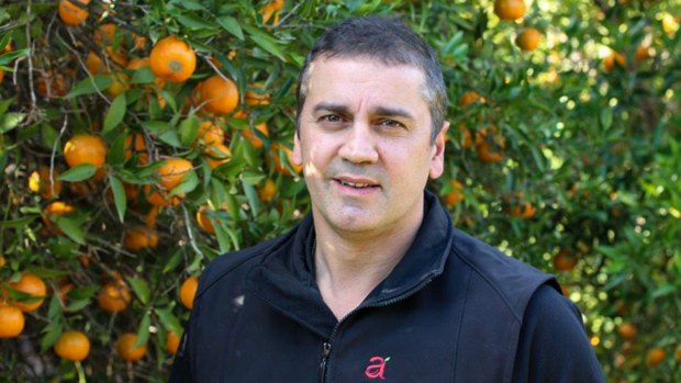 Joe Tullio managing director of Australia Fruits based in Victoria. 