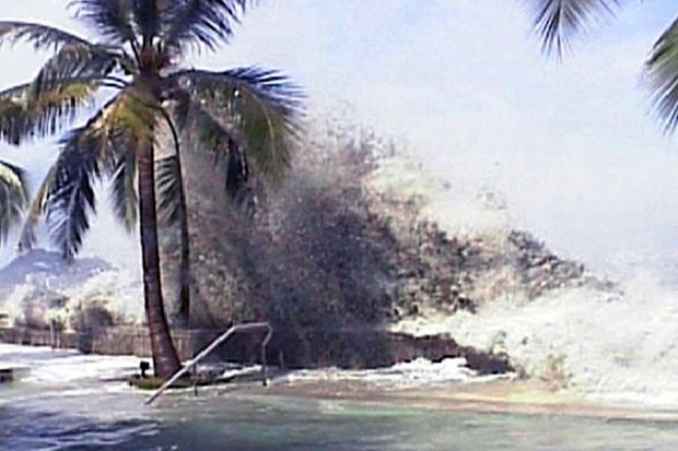 The Boxing Day Tsunami Triggered Unprecedented Generosity The tsunami on boxing day ten years ago was unprecedented.