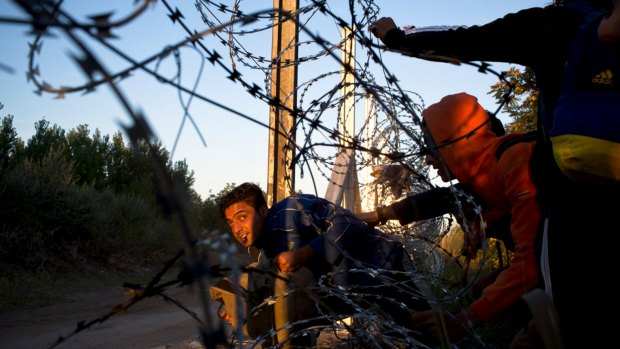 One of the photographs in the Walkley-winning series Refugee Crisis in the Balkans.
