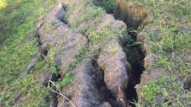Loose, collapsed soil in park beneath retaining wall near Palm Beach on the Gold Coast.