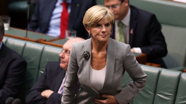 Foreign Affairs minister Julie Bishop on Monday. 