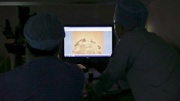 Dr Liu Jiaen, left, and a staff member look at an embryo on a screen.