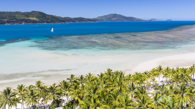 Hamilton Island Reef.