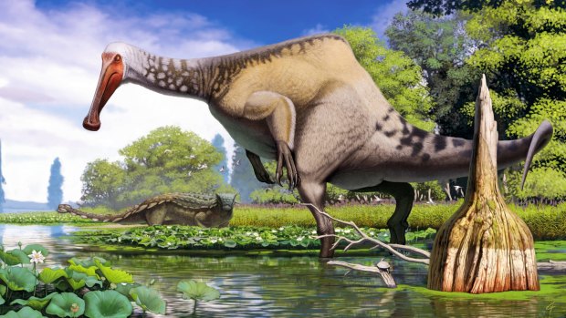Deinocheirus with its distinctive hump, pictured in swampland with an ankylosaur in background.