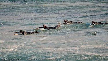 Rick Knoppert's amazing photograph last month of surfers heading to the shore at Mettams Pool after a shark was swimming among them.