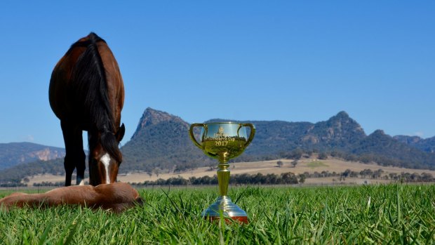 The Emirates Melbourne Cup tour hit Widden Stud in the Hunter Valley as the stud celebrates its 150th year.