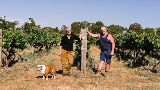 You can't help but feel the history when you step through the door at Jones Winery.