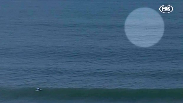 Mysterious: a dark shadow in the water during the quarter-finals of the J-Bay Open.