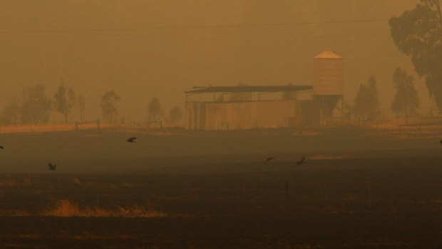 A burnt-out hay shed seen a week after Black Saturday close to where a power line fell on a fence, igniting the Murrindindi-Marysville bushbure.