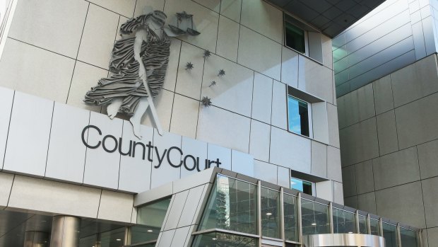 A man has been jailed for the rape and sexual assault of his partner's twin sister.
