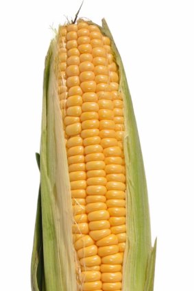 Get to know your gut by observing how quickly it digests corn.