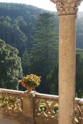 A native Australian Norfolk Island pine was the first exotic tree planted at Monserrate.