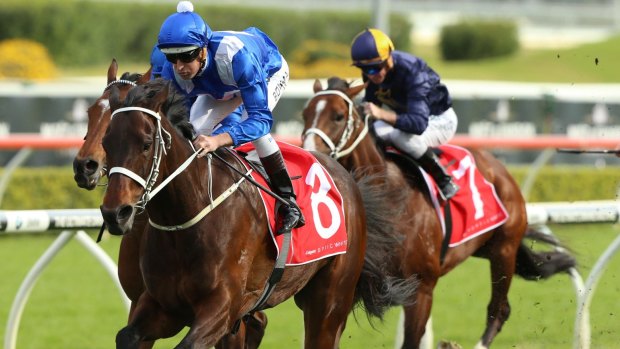 Winx in the lead, but pacemakers in races are unlikely.